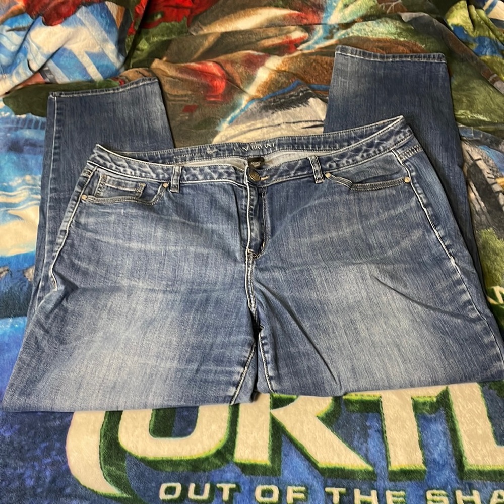Lane Bryant straight leg jeans